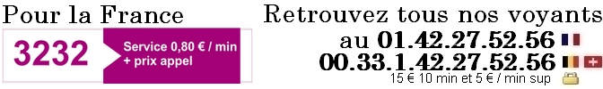 voyance-par-telephone